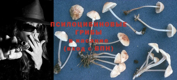 соль курить ск Богородск