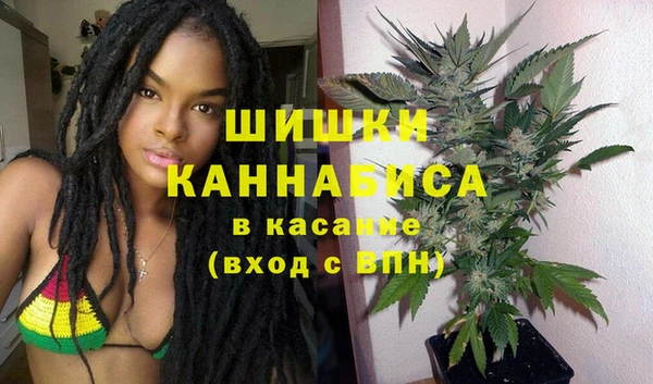 бошки Богданович