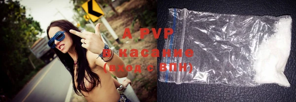 бошки Богданович