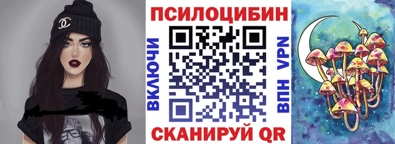 Псилоцибиновые грибы прущие грибы  Купить где  Удачный 